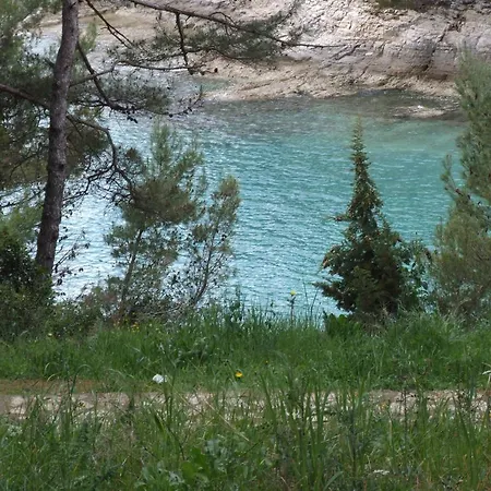 Deni Pula