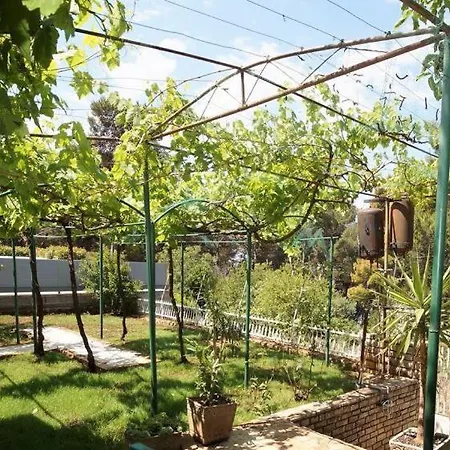 Deni Πούλα